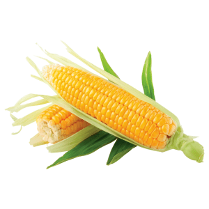 Corn