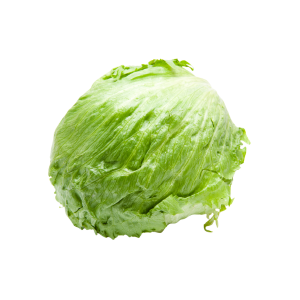 Iceberg Lettuce