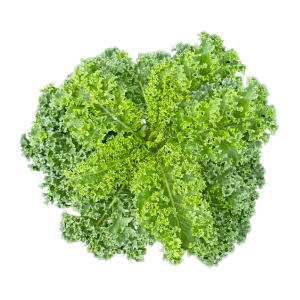 Kale