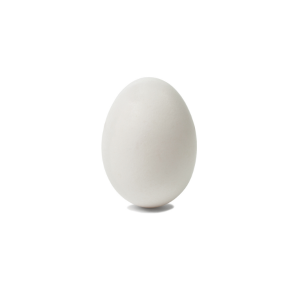 White Eggs