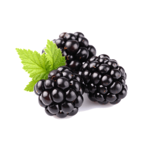 Blackberry
