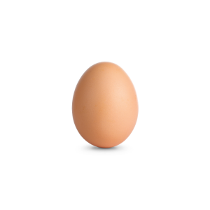 Brown Eggs