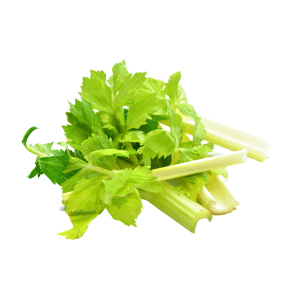 Celery