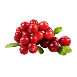 Cranberry