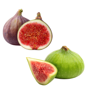 Fig
