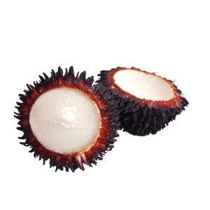 Pulasan