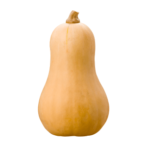 Squash